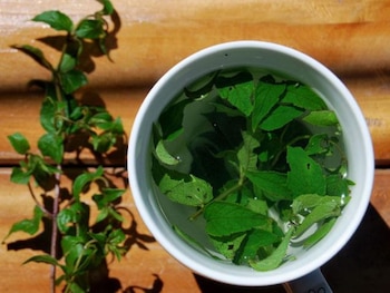 Las prácticas ancestrales de selección,