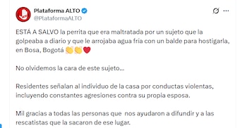 El más reciente reporte indica que el animal ya está en manos de personas que no le harán daño - crédito X