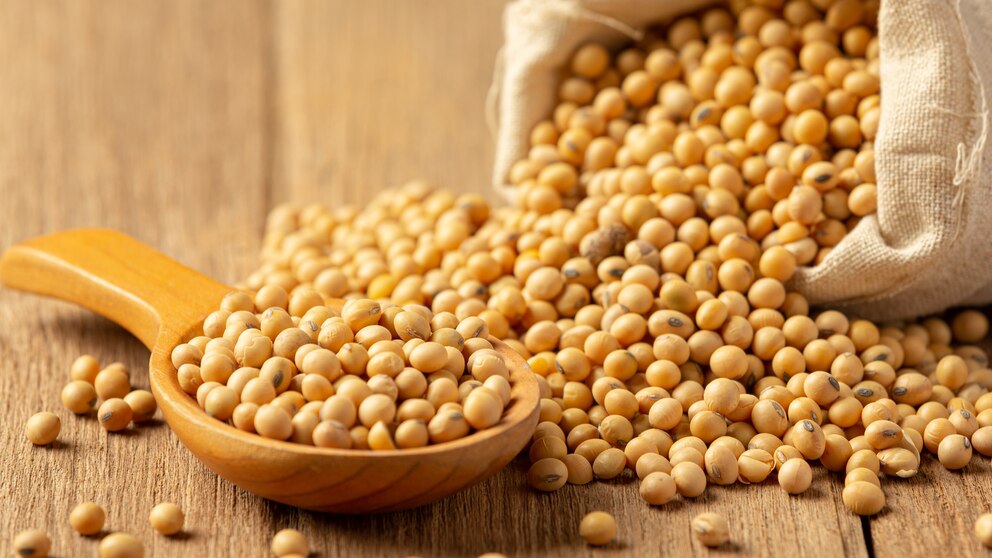 ZPKFLL7A5BEZFMTVIGWXWHWUII