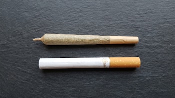 Un porro de cannabis y un cigarrillo, uno al lado del otro, yacen sobre una superficie oscura y texturizada, vistos desde arriba.