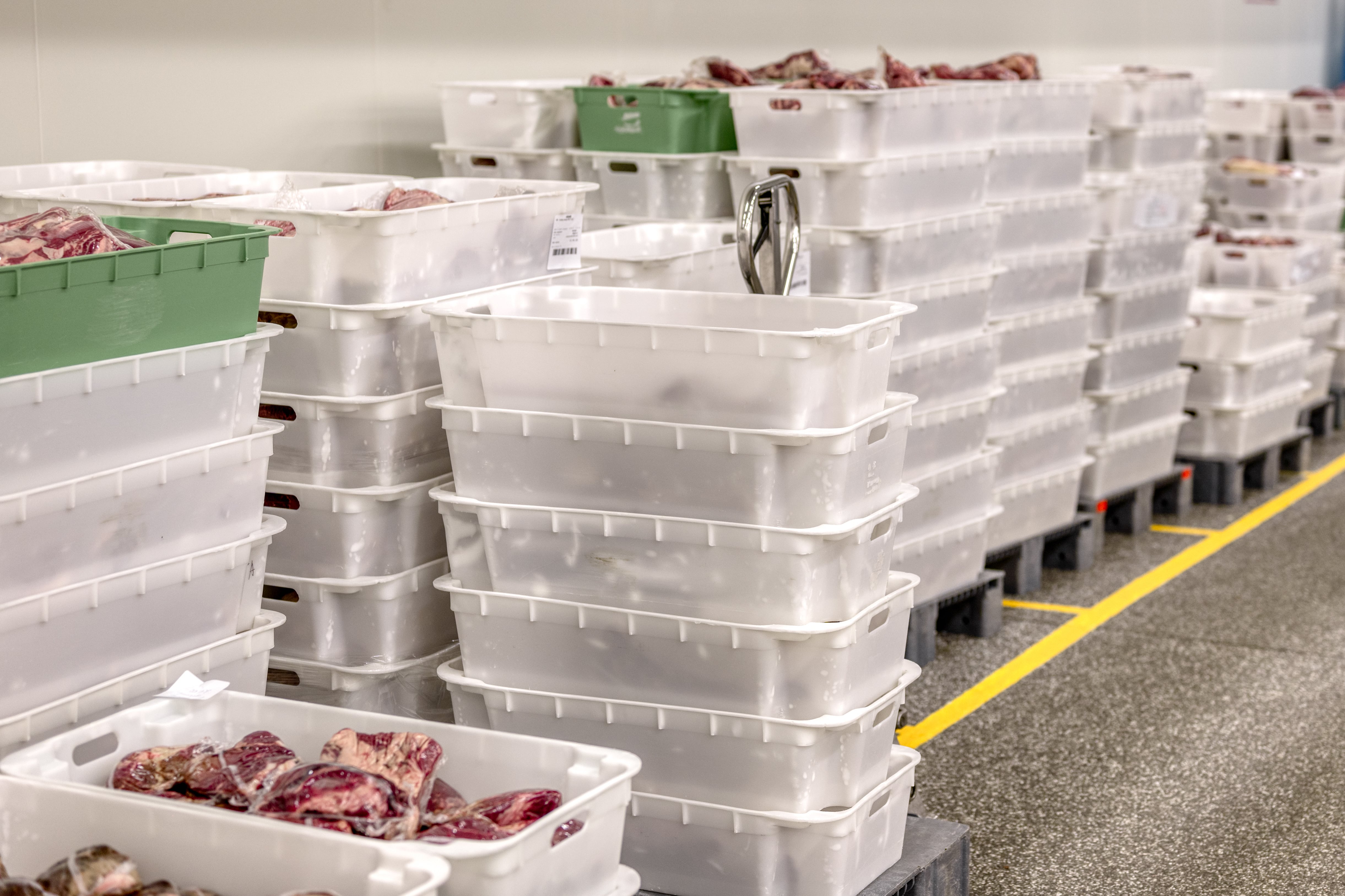 El acceso alcanza a la carne deshuesada y madurada, un formato cuya viabilidad sanitaria había sido reconocida en diciembre de 2024, aunque entonces restaban formalidades (Foto: Shutterstock)