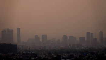 El 40 % de la población mundial está expuesta a niveles nocivos de ozono: por qué el calor y los incendios agravan el riesgo