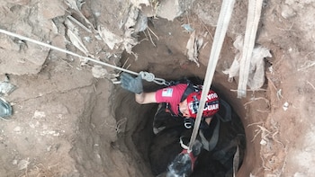 Córdoba: un caballo cayó a un pozo ciego de cinco metros y fue rescatado con vida tras un intenso operativo