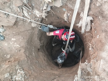 Efectivos del DUAR y Bomberos Voluntarios trabajaron en conjunto para extraer a la yegua del pozo, que tenía cinco metros de profundidad y un metro y medio de diámetro