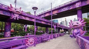 Vista general de un puente urbano pintado de morado vibrante, decorado con murales y grandes esculturas de ajolotes sonrientes. En primer plano hay bancas moradas y al fondo se ve tráfico ligero.