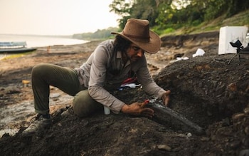 El equipo estará compuesto por