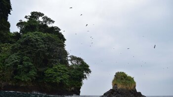 Conozca la misión de 42