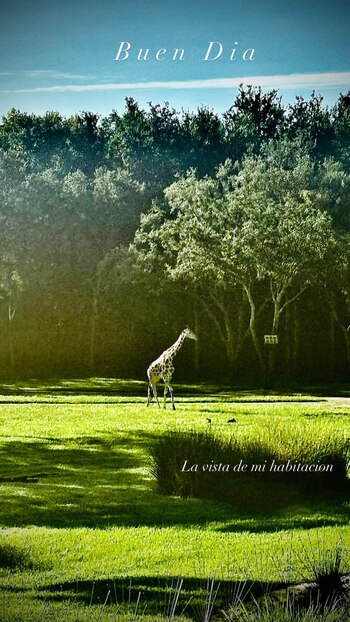 La vista desde la habitación