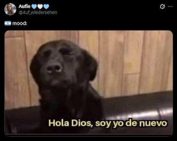 Imagen ZQASVPGMARDGDNUIDNP5LWRVOQ