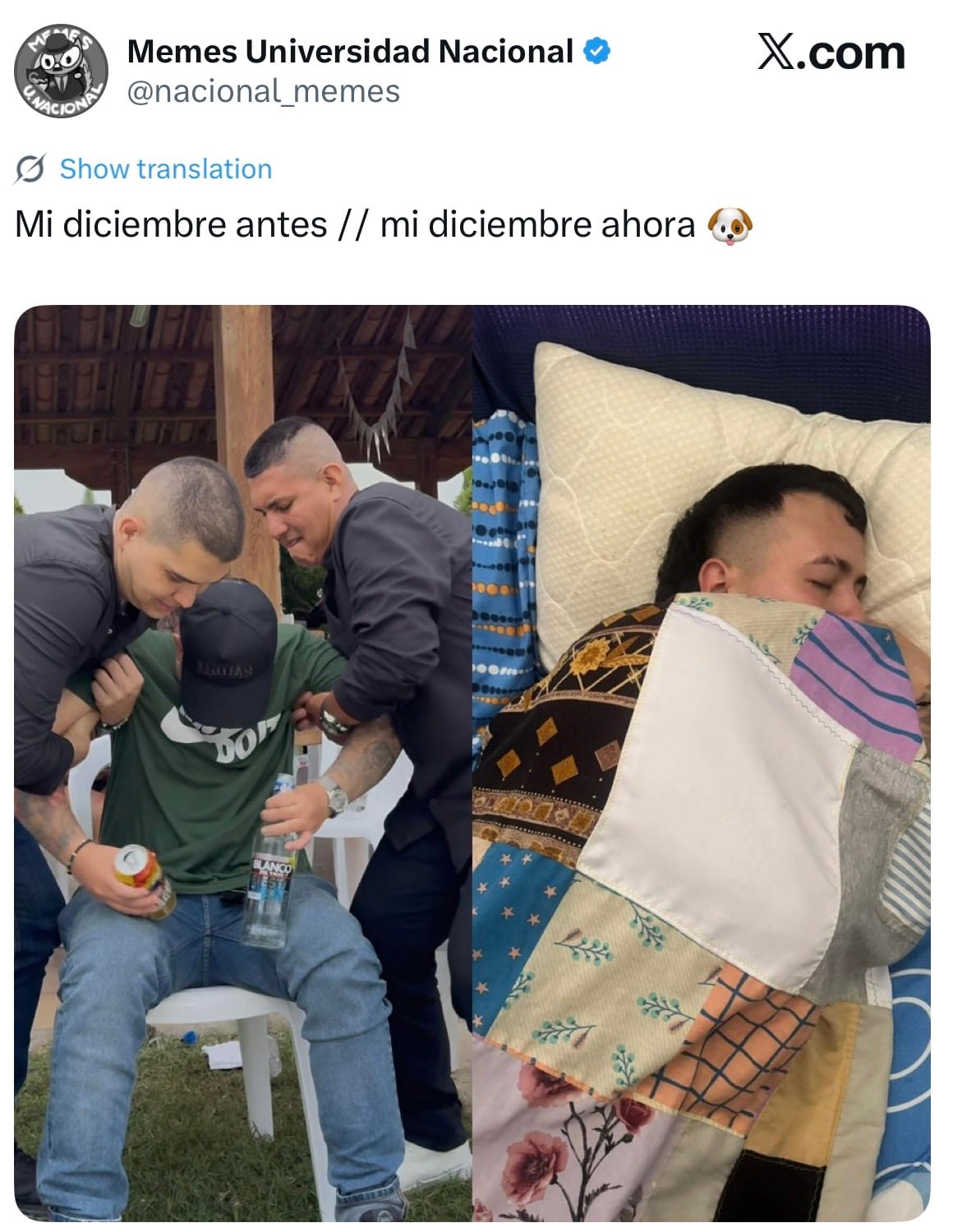 Los memes navideños se consolidan como parte de las tradiciones digitales junto a los regalos y las posadas - crédito Redes sociales