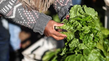 El clima y los menores