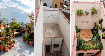Tres imágenes de azoteas: una con macetas, otra de un patio vacío con la palabra Antes y otra con vegetación y la palabra Después