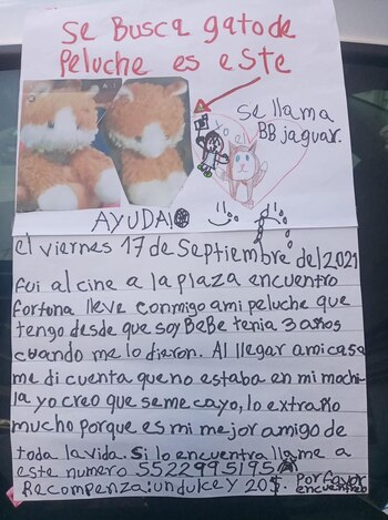 Niña se vuelve viral por