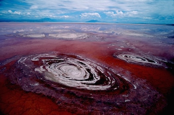 El lago Natrón tiene una