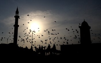 La gente en camellos se