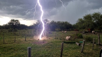 Relâmpagos brilhantes atingem o solo em um campo verde sob um céu escuro e tempestuoso. Ovelhas e gado pastam ao longe, cercados por árvores.