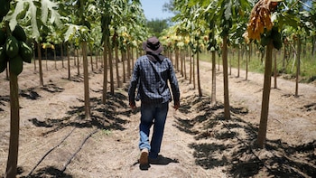 El Salvador: Universitarios establecen modelo de comercio justo en San Luis Talpa para fortalecer la seguridad alimentaria