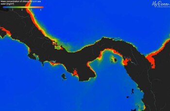 En febrero de 2025, predominio