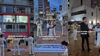 La serenata a Juan Daniel Oviedo incluyó un ramo de flores y una propuesta formal - crédito elkincalvo / TikTok