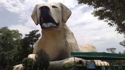 ¿Qué pasó con el “perro gigante” del extinto México Mágico en Chapultepec?