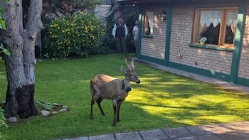 Preocupación en San Martín de