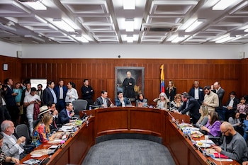 Las comisiones especiales son de