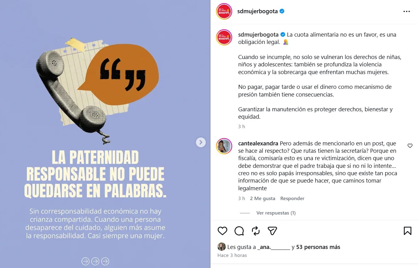 La Secretaría de la Mujer de Bogotá compartió la publicación el sábado primero de mayo de 2026 - crédito @sdmujerbogota/IG