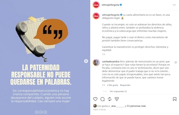 La Secretaría de la Mujer de Bogotá compartió la publicación el sábado primero de mayo de 2026 - crédito @sdmujerbogota/IG