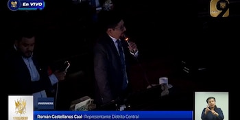 Román Castellanos, diputados oficialista, dirigiéndose