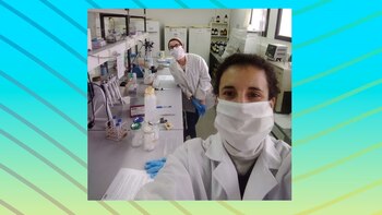 Formalmente, el desarrollo está en