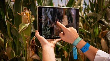 Bayer se posiciona como un