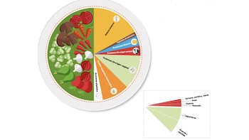 Gráfico con la división del