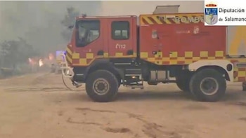 Sucesos- Los Bomberos de la Diputación de Salamanca rescatan a 20 perros atrapados por el fuego en Cebreros (Ávila)