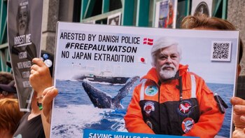 El activista anticaza de ballenas