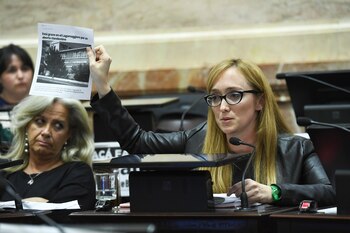 Fernández Sagasti forma parte del