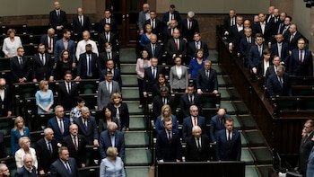 Disposición de la tierra