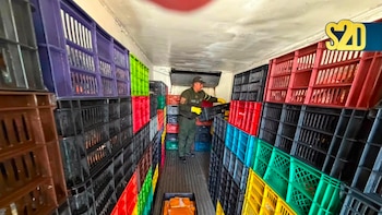 Pescado con ‘sorpresa’ ilegal: hallan casi 600 kilos de cocaína en camión que iba hacia Bogotá