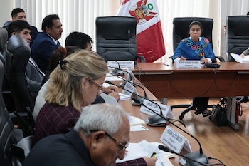 La Comisión de Energía y Minas del Congreso, presidida por la diputada Yenifer Paredes (JP) rechazó el pedido de facultades legislativas presentado por el gobierno de Keiko Fujimori. (Foto: Congreso de la República)