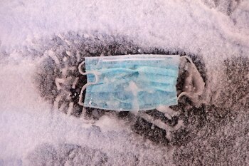 El estado de Nueva York