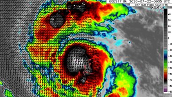 Douglas: se forma el primer