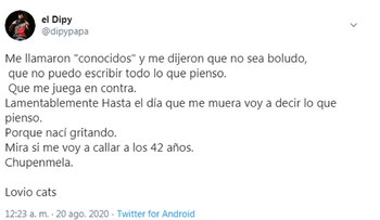 La reflexión de El Dipy