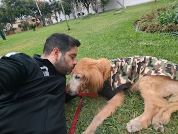 Junior Silva imaginó a Bronco sin dolor y reunido con Leonardo, el hermano de su mascota.