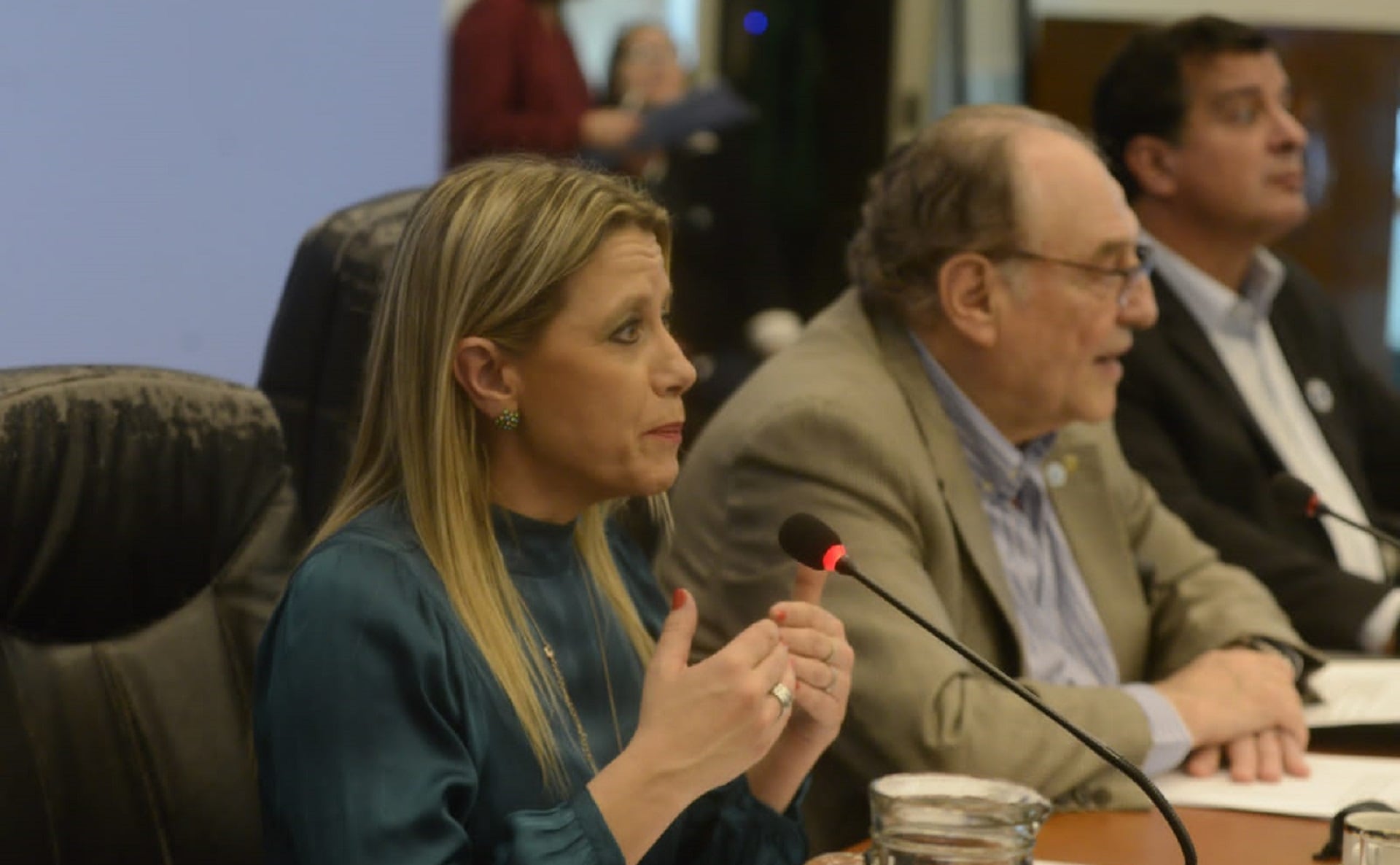 La contadora Claudia Ballestrini, subsecretaria de Ingresos Públicos, viene de la gestión de Alberto Fernández.