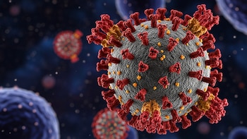 Especialistas alertan por la propagación