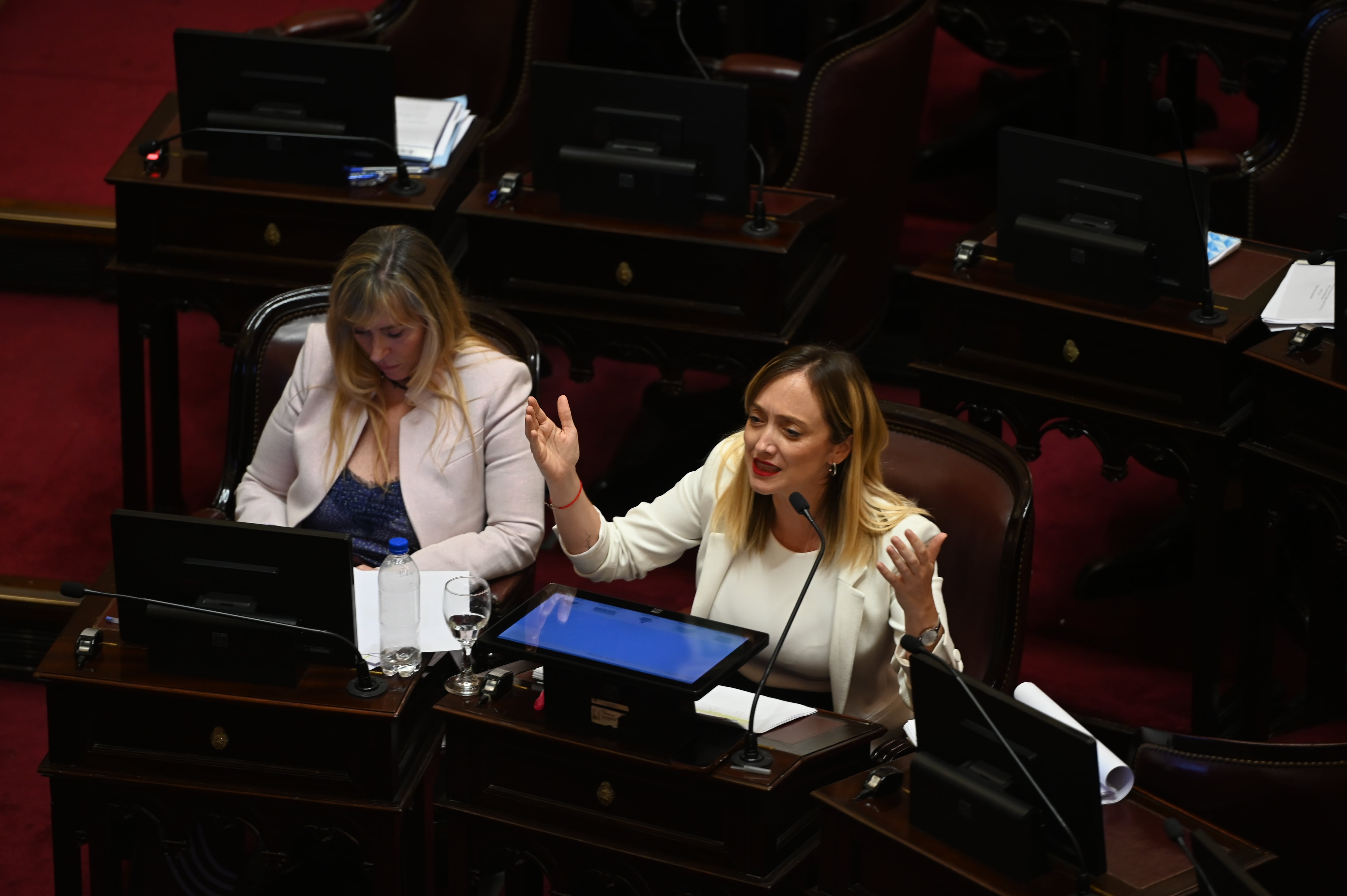 El kirchnerismo se manifestó en contra (RS Fotos)