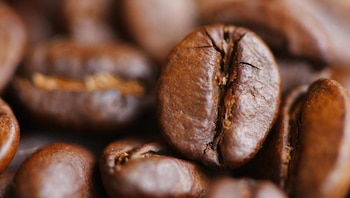 El precio internacional del café