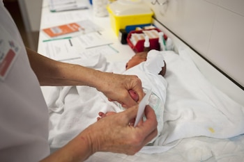 Imagen ZS7EFN3R2NDQLNRG4SWVOHNAQM