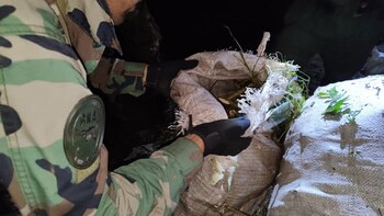Gendarmería halló una tonelada de