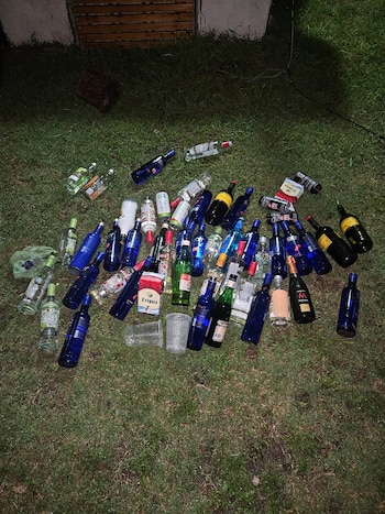 Las autoridades incautaron diversos