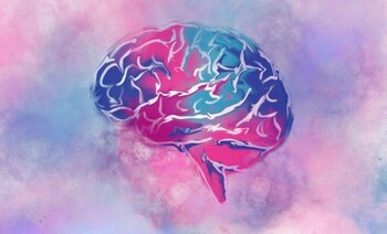 Imagen ZSEQLGFIIVENBE7KYX3SLZ6RRA